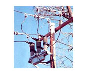 Distribution Vacuum Switches 